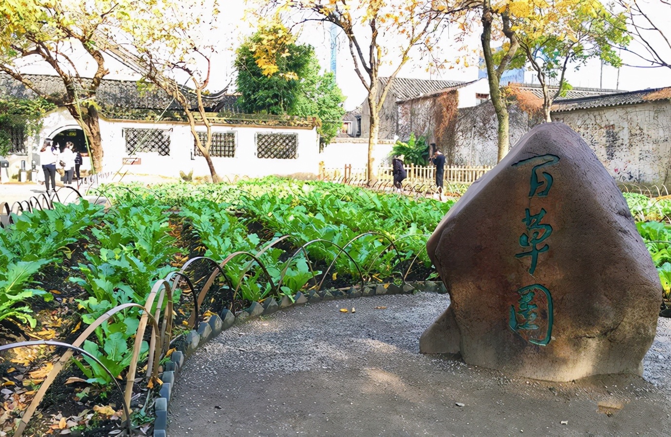 江浙一带最具代表性的三大江南老城，2022年开春旅行就安排起来吧