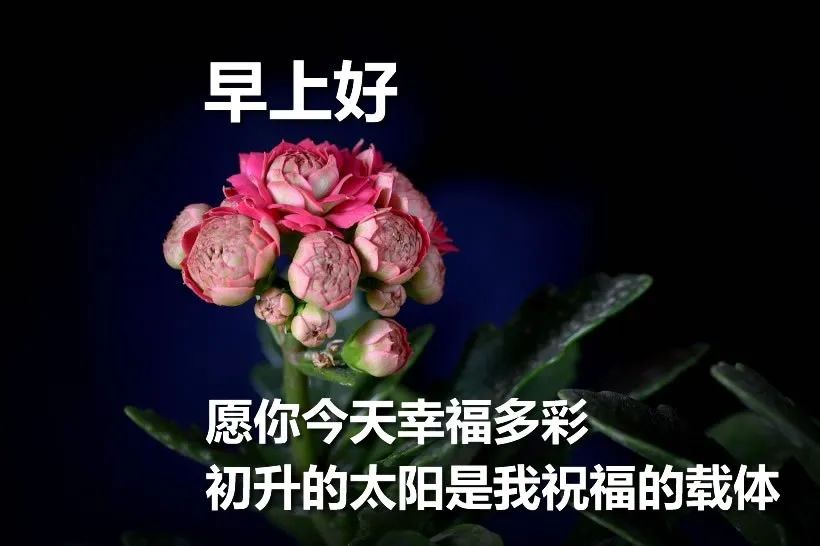 5月早上好祝福动态表情图片 早晨好动图美图欣赏 愿你今天幸福多彩图片