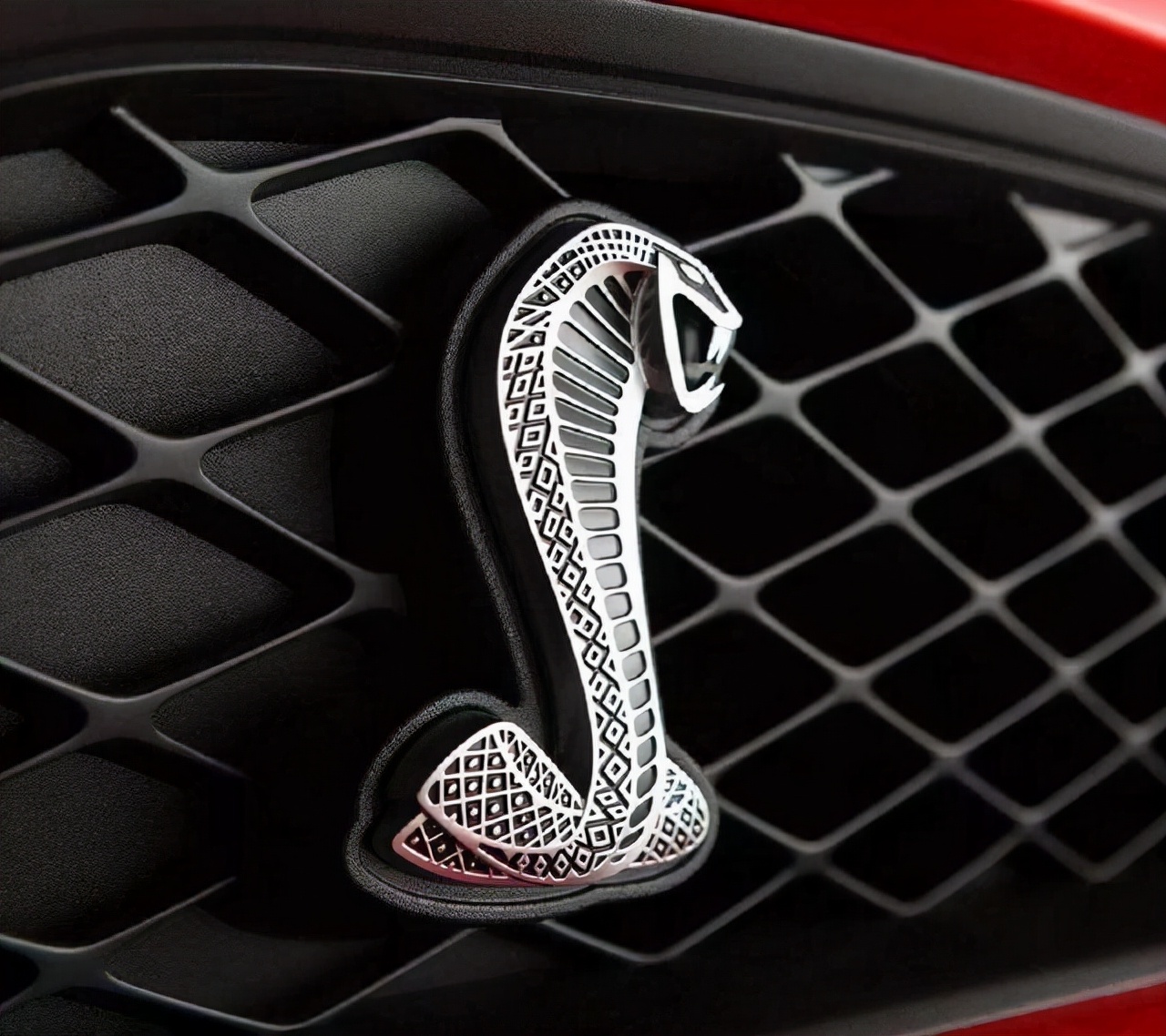 福特野马眼镜蛇壁纸,福特野马图片大全 壁纸