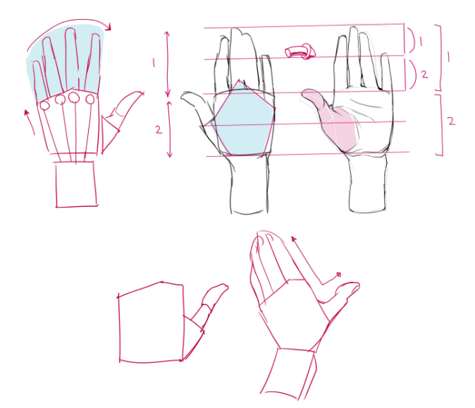 绘画初学者如何正确画手？教你基础的手部手势绘制思路