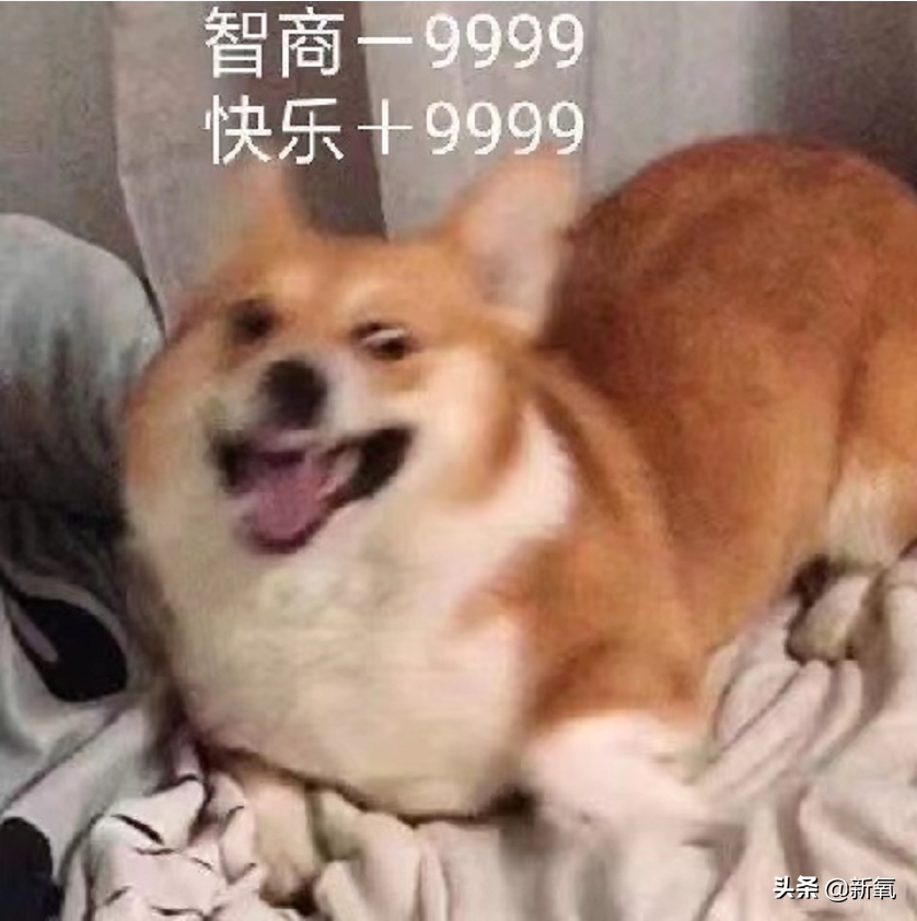 是给的太多了么？她俩之前可是厌恶舞台到顶级巡演都缺席不去…