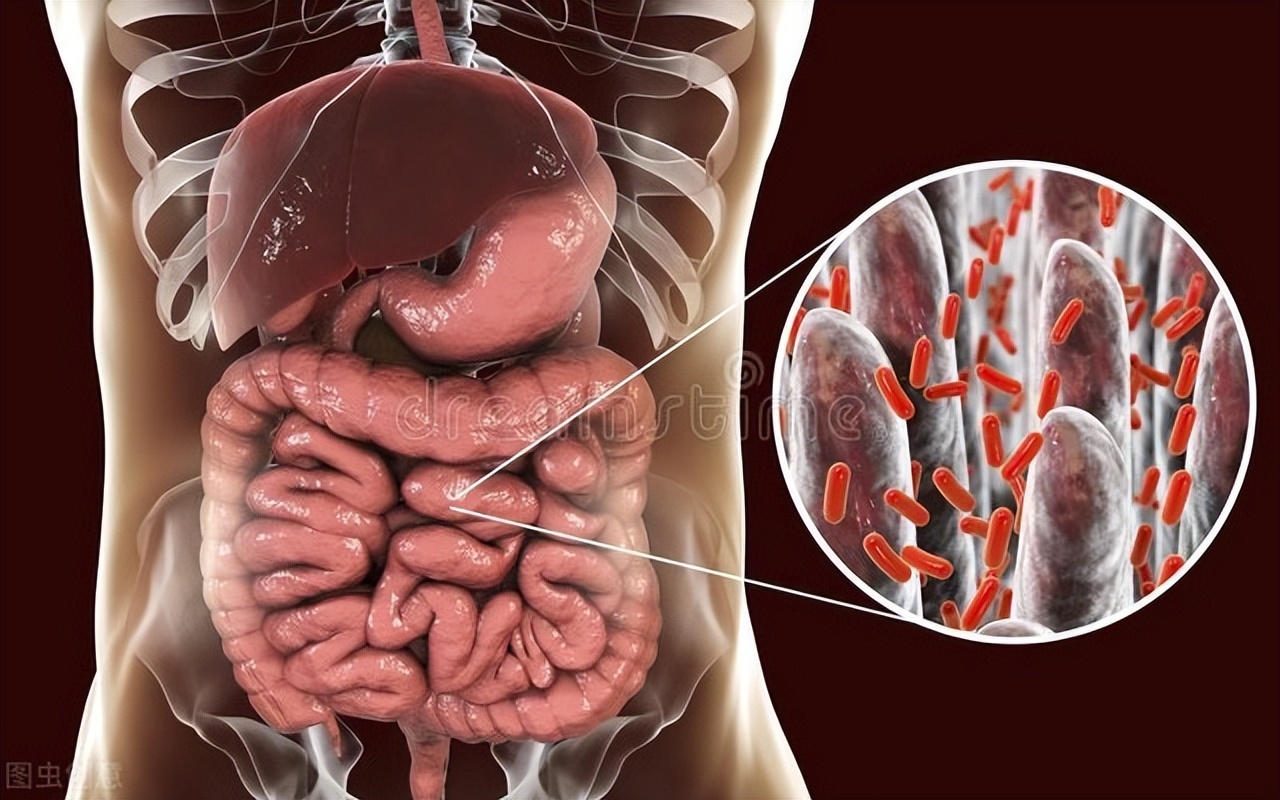 经常肚子疼,拉肚子?教你7 种有效的方法改善肠道健康