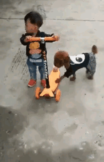 爸，你旁边的叔叔好帅，爸爸：这是你妈，网友当场笑喷了，哈哈哈