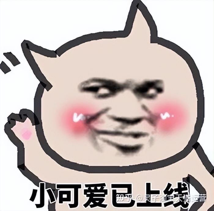 天猫代运营