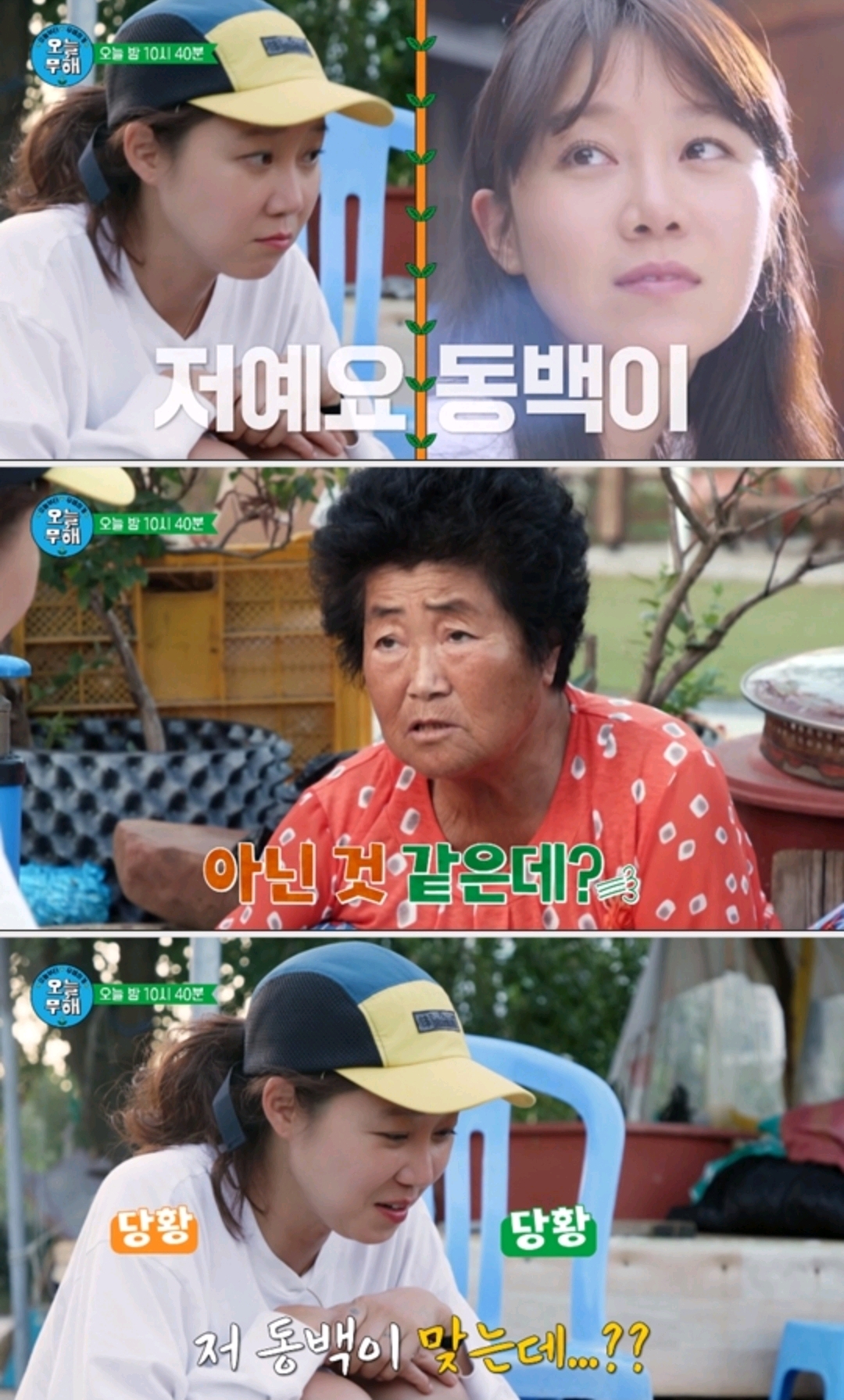 孔孝真遭到屈辱緊急中斷，“靠演電視劇走紅，臉變了年齡老了”