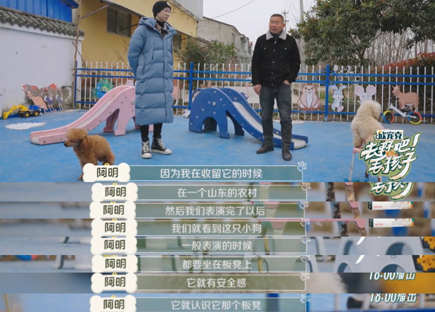 10分钟看哭7次！当他们不再“有用”的时候，却也无法正常生活