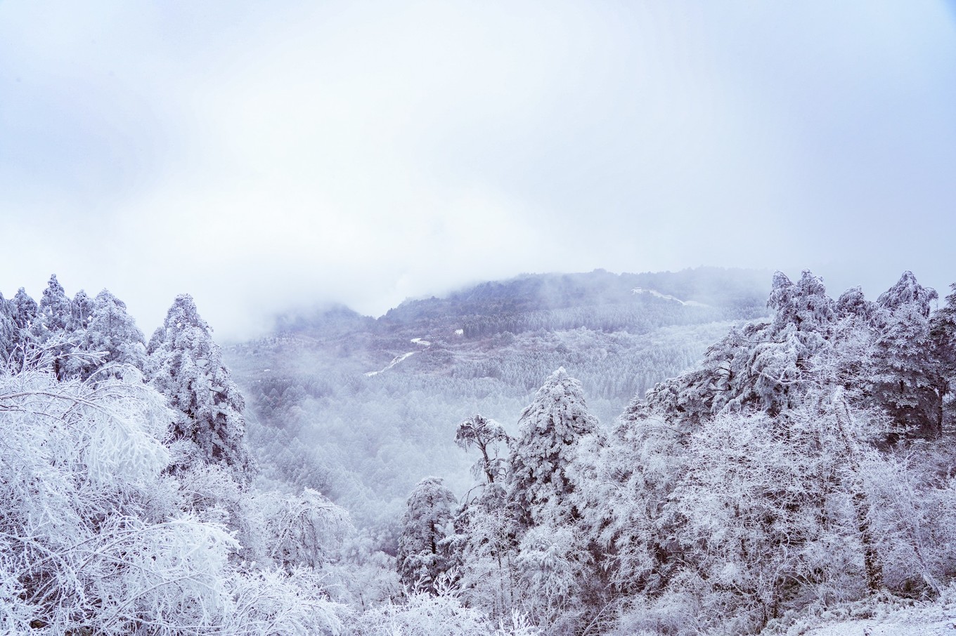 云海之上，贡嘎之巅，王岗坪冰雪之旅
