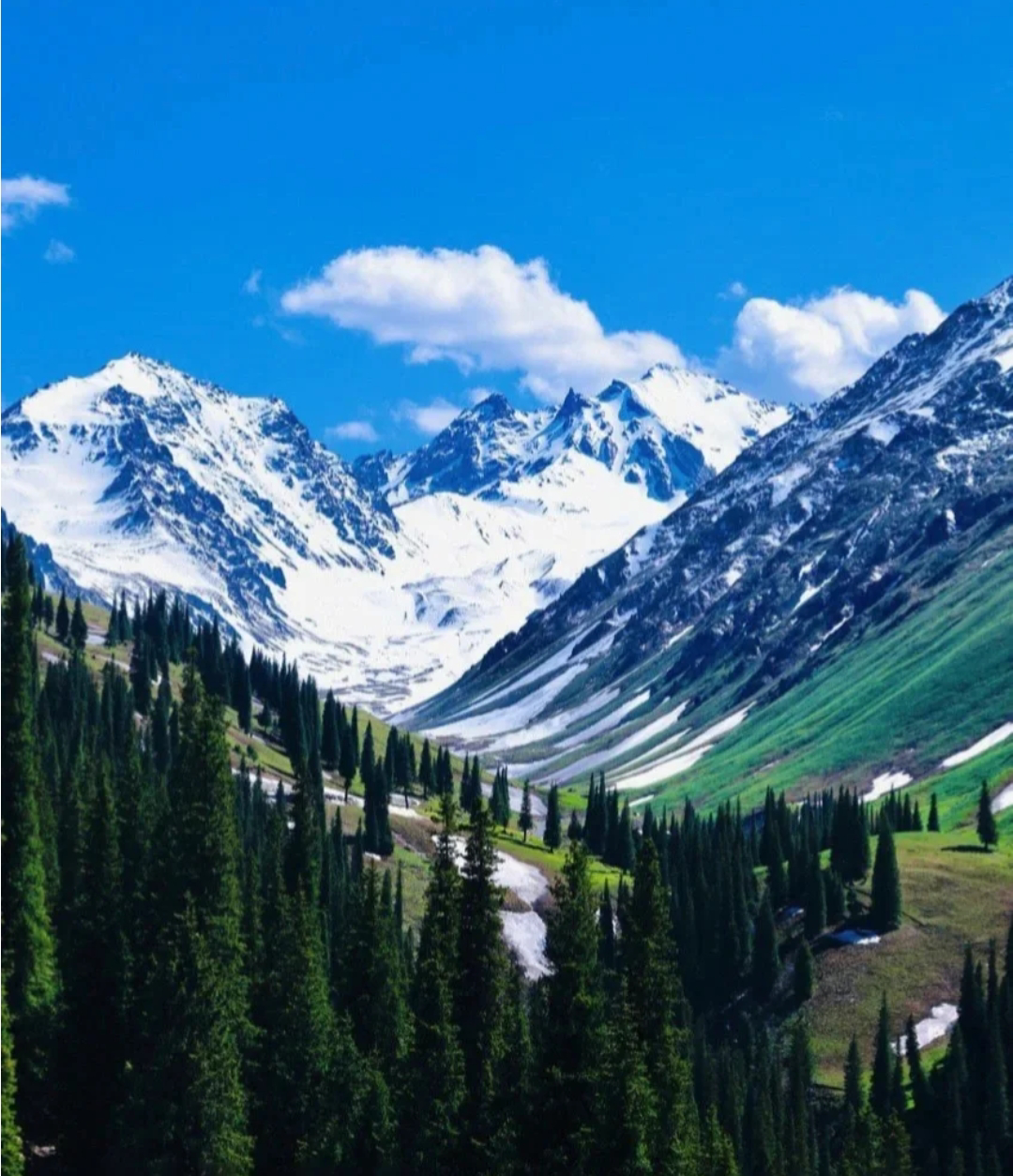 太美了！盤點新疆最美的8個風景，我去過2個，你呢？