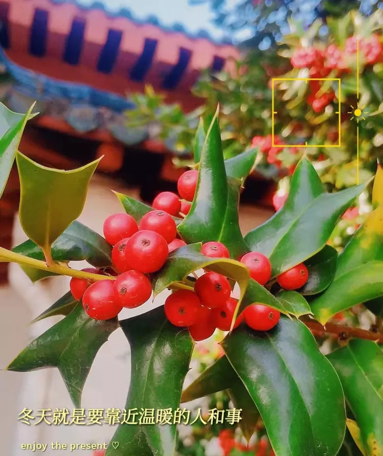 边边设计新年寄语 | 每天都会有小美好在等你