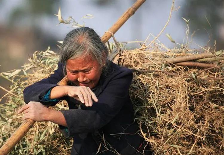 六线小城门卫1200也有人干，农村环卫人员工资多少，你的父母呢