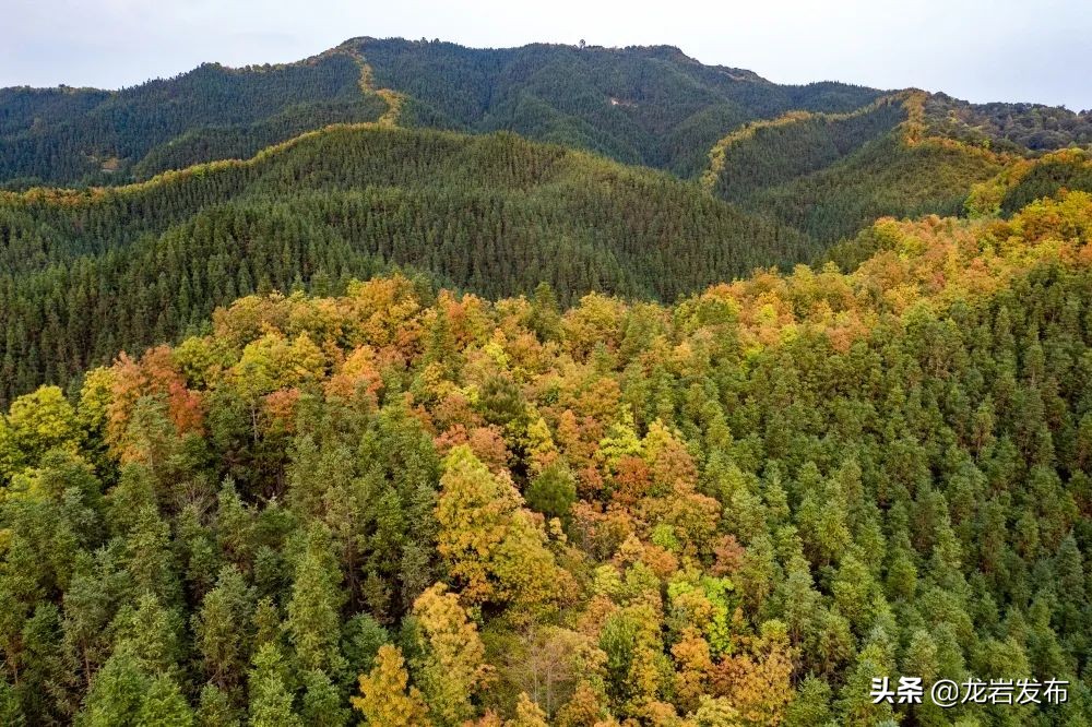 龙岩这里，科技赋能助力“双碳”