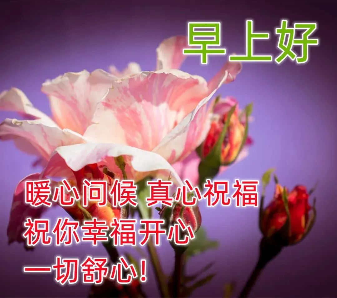 非常漂亮好看的早上好动态美图鲜花带字