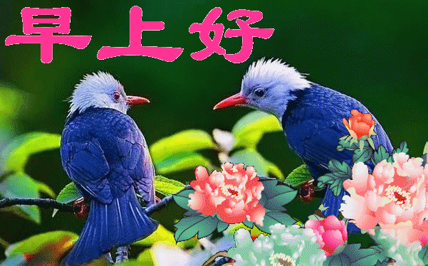 微信周五唯美早晨好动态图片大全，祝福每天都有好心情图片