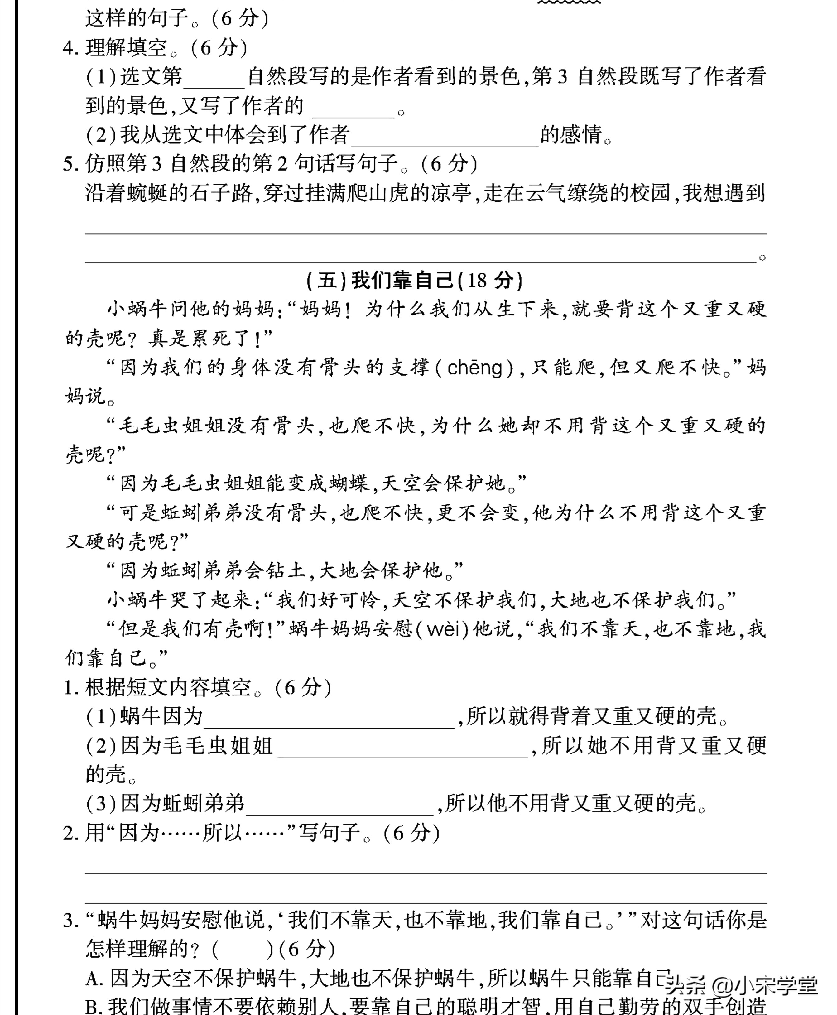 2022更新！三年级下册：字词句+课外阅读专练突破卷，考试不丢分