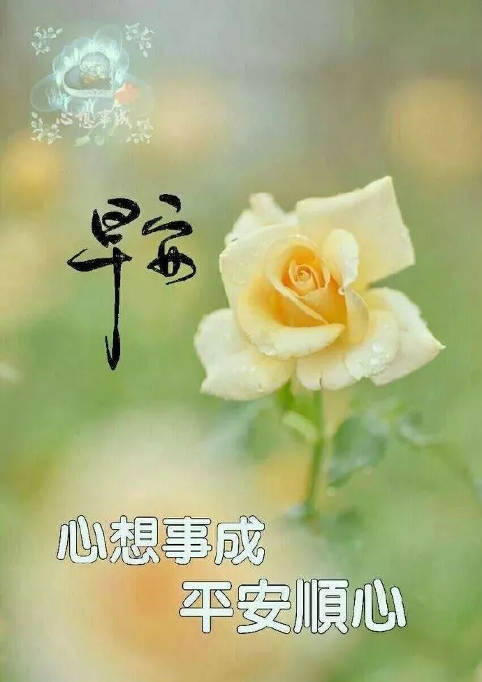 微信群发早上好表情包，清晨祝福，事事顺心、早安吉祥、开心健康图片