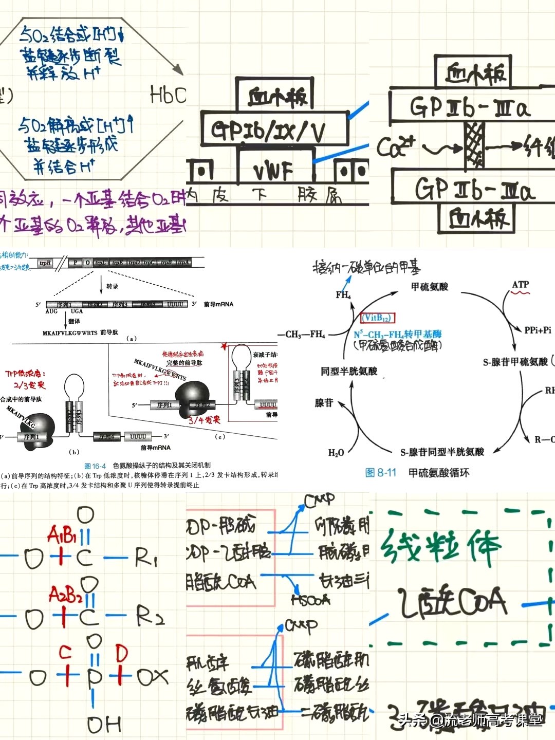 南华大学帅气学霸，421分考上浙大研究生，详细考研计划值得学习