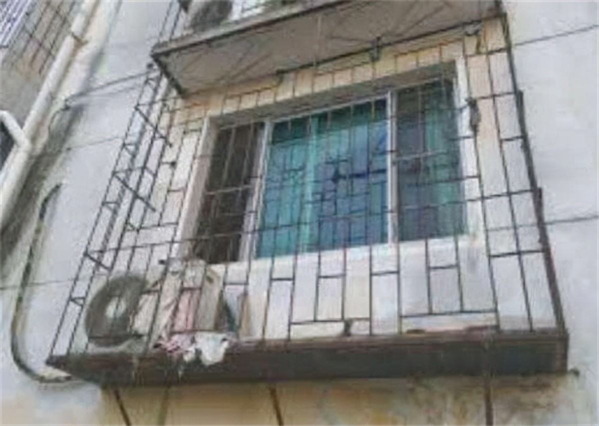 逃亡近3年，换了30种身份，弑母藏尸的北大学霸落网记