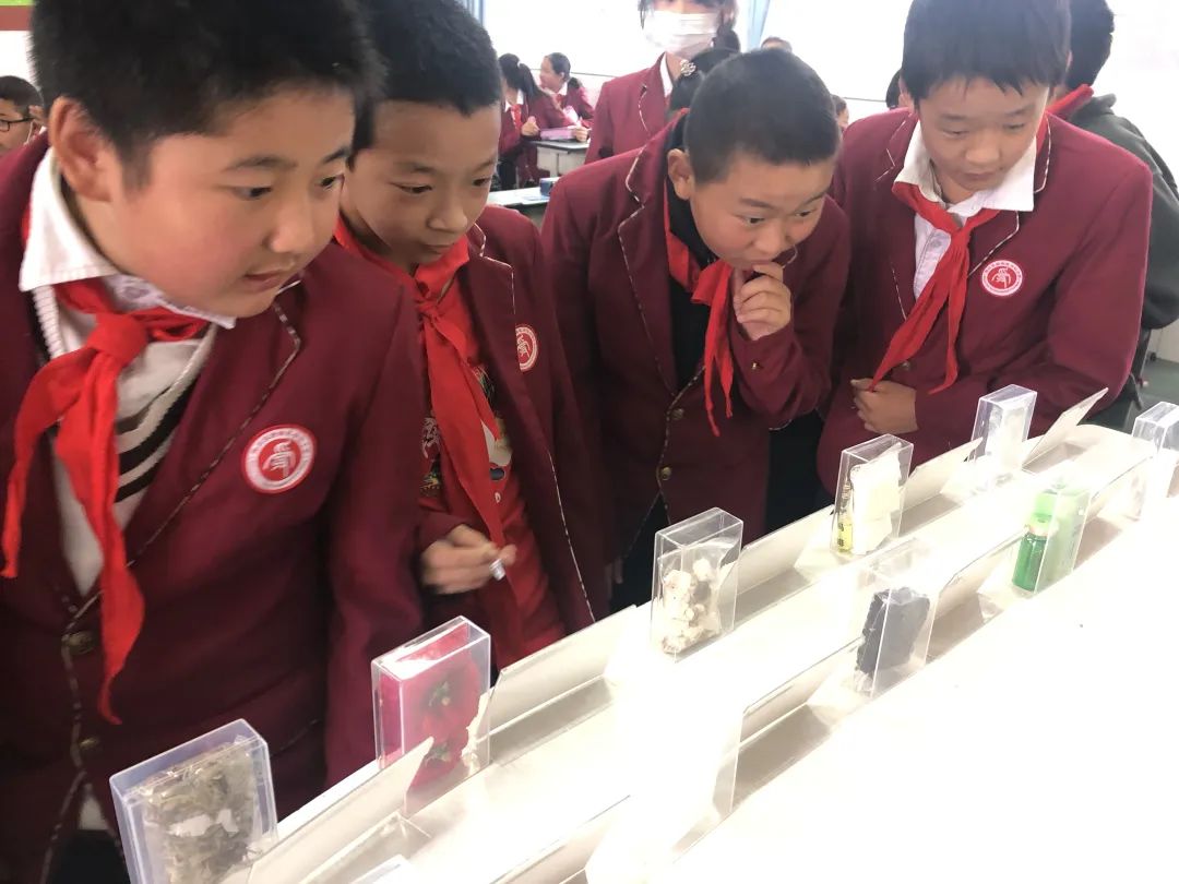 太平街道禁毒工作领导小组禁毒宣传走进合江小学开展校园教育活动