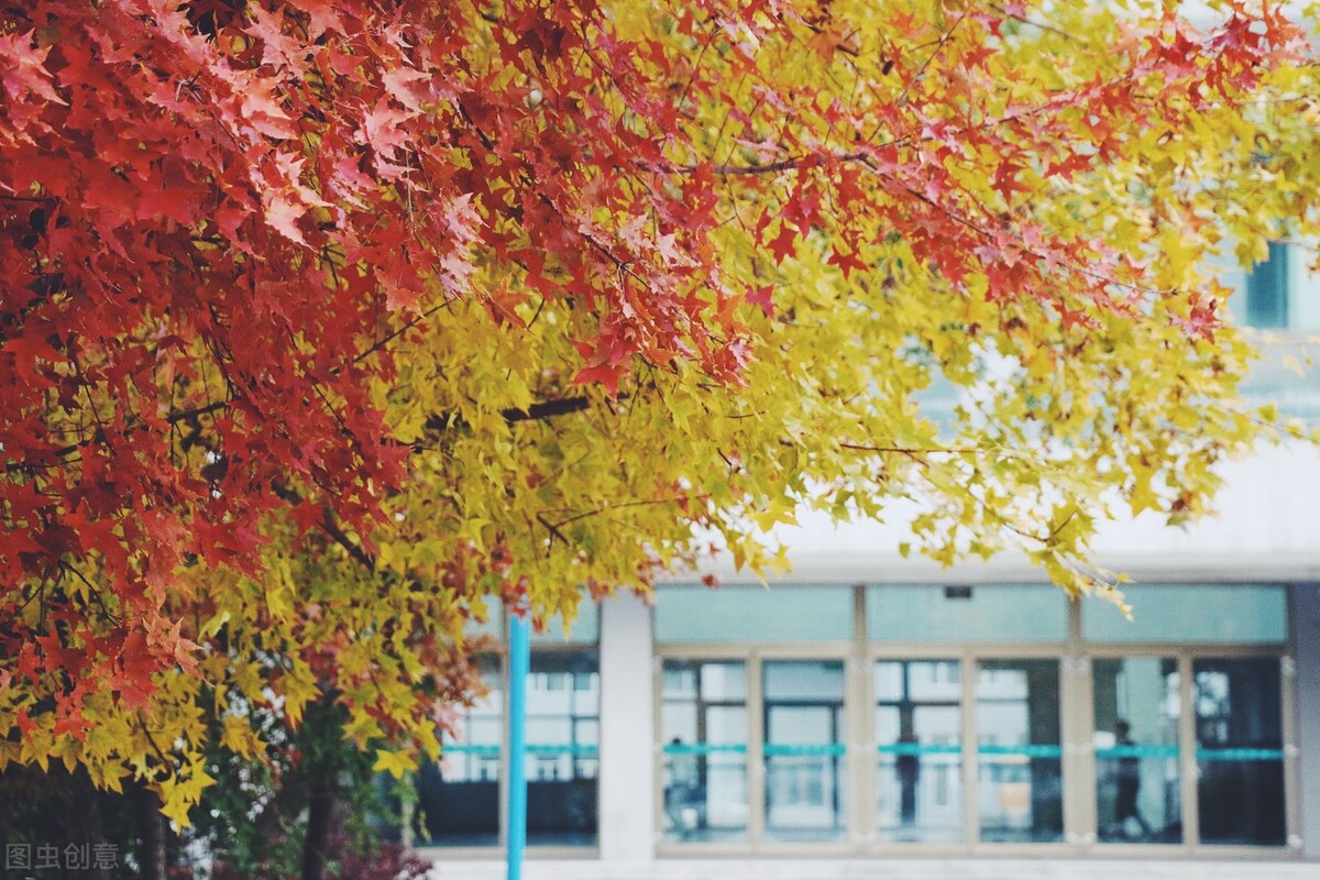 百万医学生流向社会，不能当医生的学生有什么好出路，总结5条