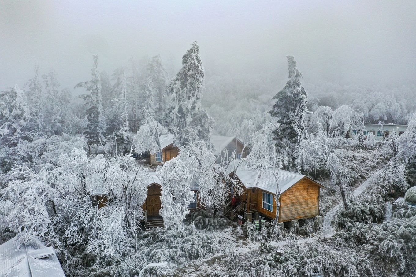 云海之上，贡嘎之巅，王岗坪冰雪之旅