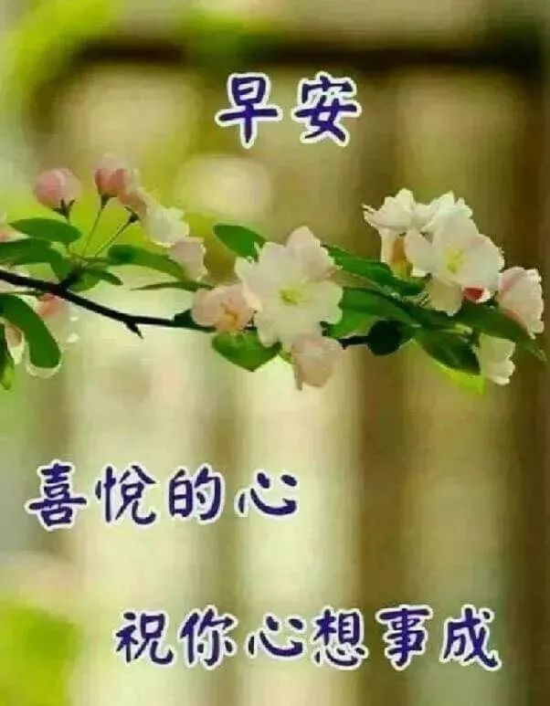 周末早上好祝福图片 早上好问候句子 早安喜悦 祝你心想事成图片