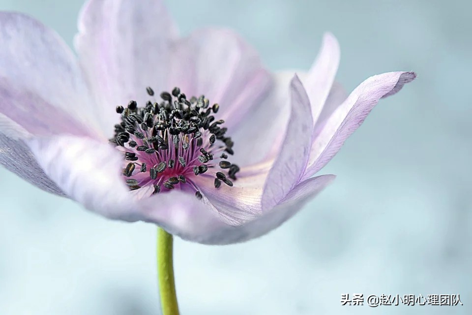 高考志愿填报，你真的选对了吗？