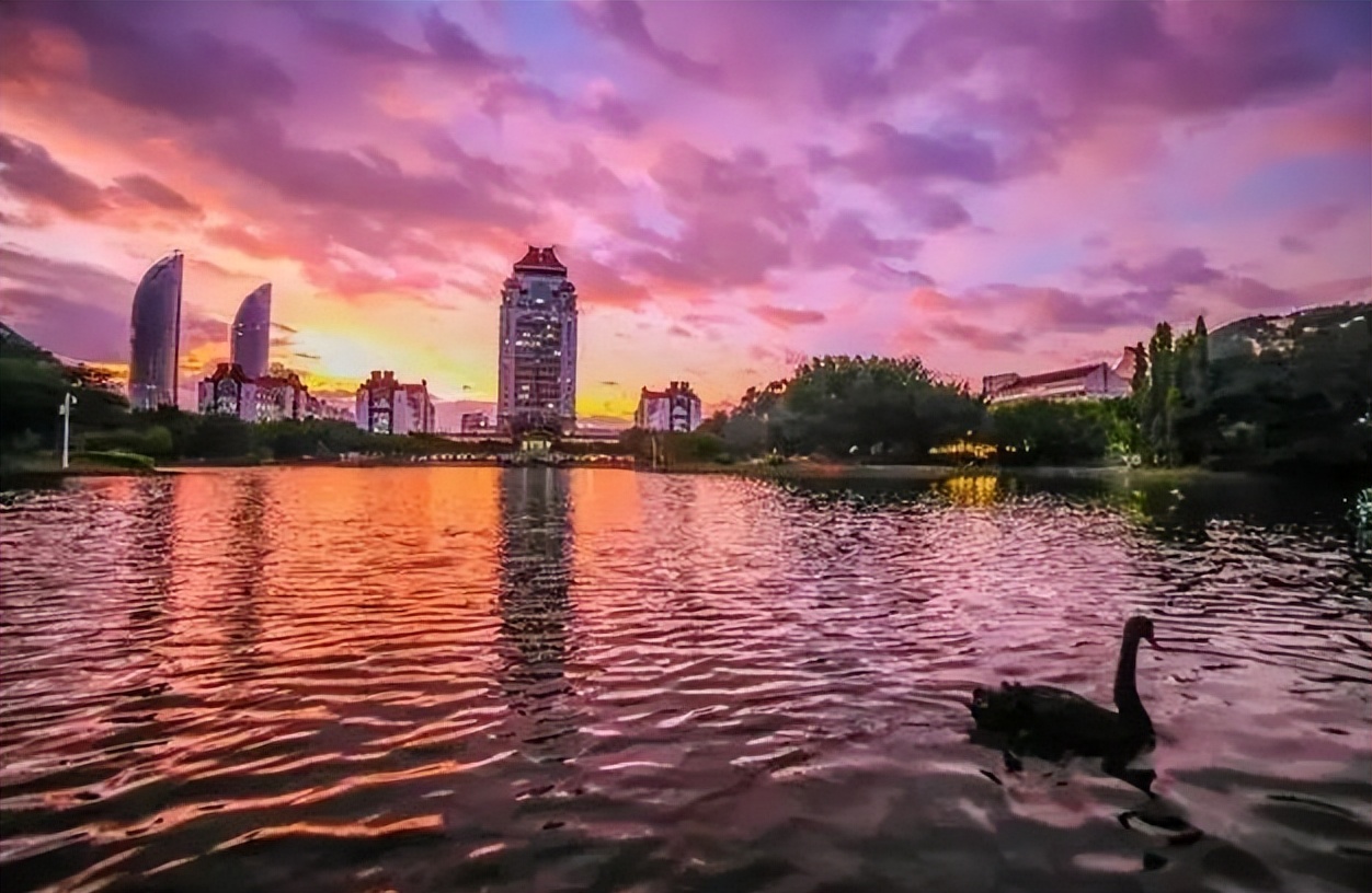 全国高校“学生满意度”排名，厦大排第三，榜首一年学费17万