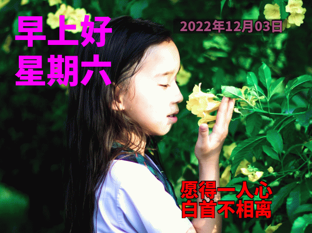 12月3日周六早安 清晨早上好表情包祝福语 祝你幸福永远、笑容灿烂图片