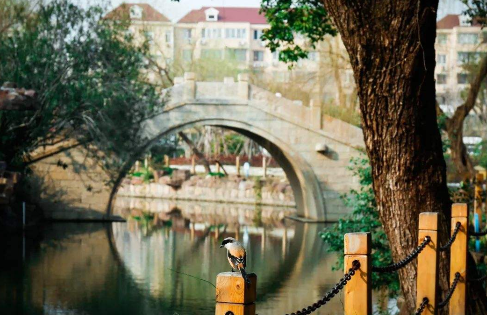 上海高校金字塔排名已更新，榜首堪称家喻户晓，华政排名略微退步