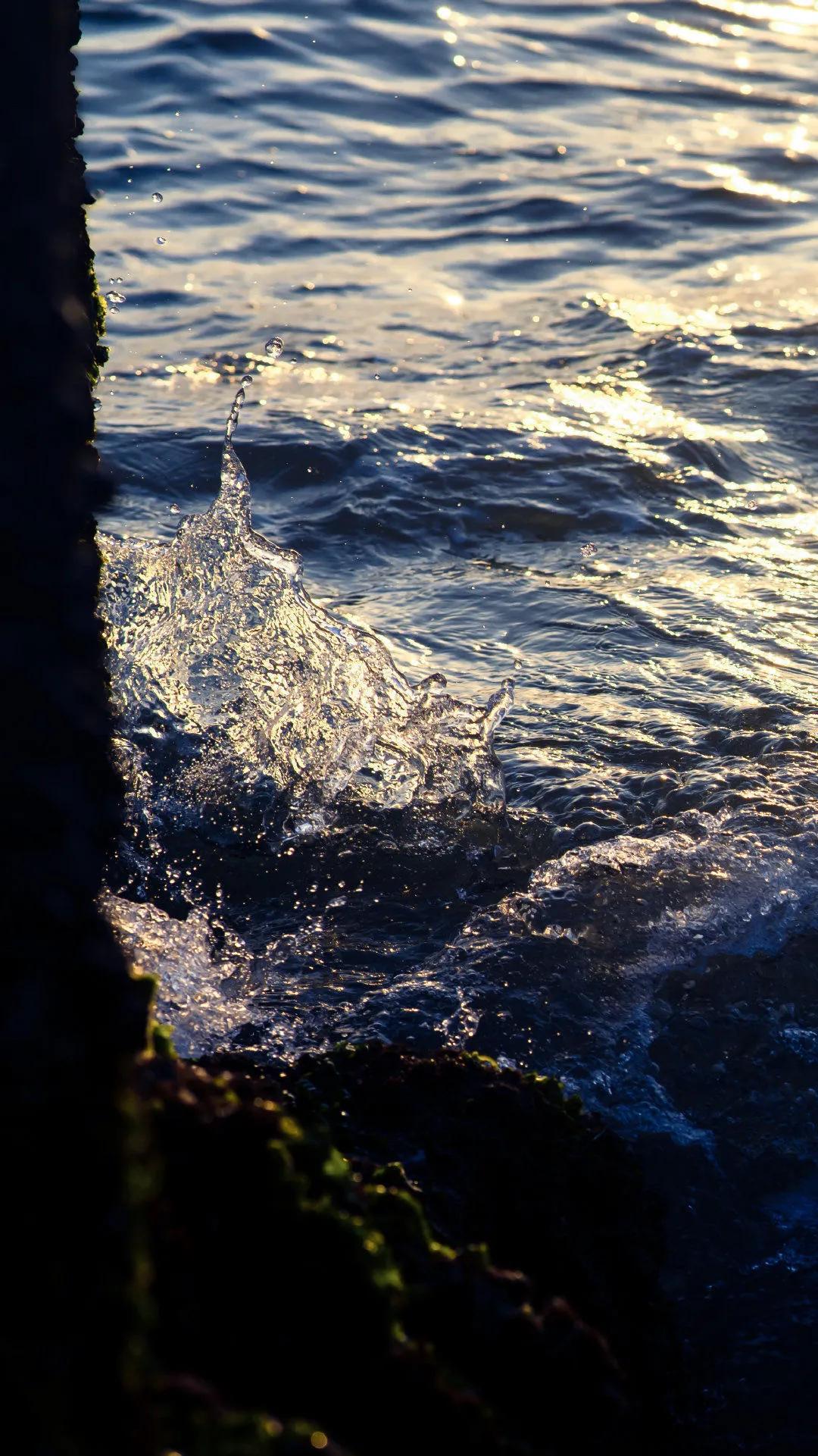 让人拍手叫绝的句子