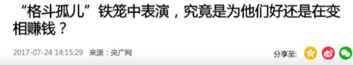 5年前，“格斗孤儿事件”轰动全国，现在他们怎么样了？