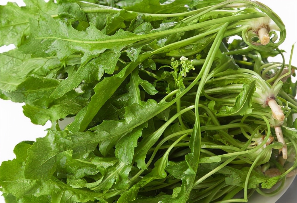牛运霞水饺详细教程：荠菜猪肉馅水饺怎么做？荠菜怎么去苦涩
