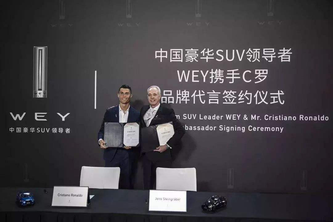 魏派VV7官网崩盘背后真相揭秘