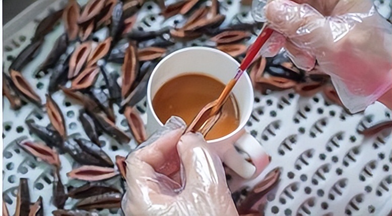 “槟榔大王”去世，10亿家产全给妻子，其母控告儿媳弑夫伪造遗嘱