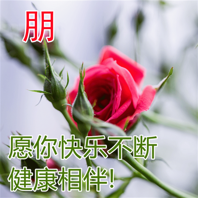 冬天暖暖的早晨好祝福语表情图片大全 愿你身心安康、喜乐平安图片