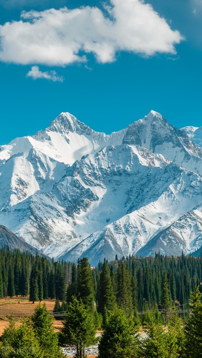 一日一诗《凉州词》赏析