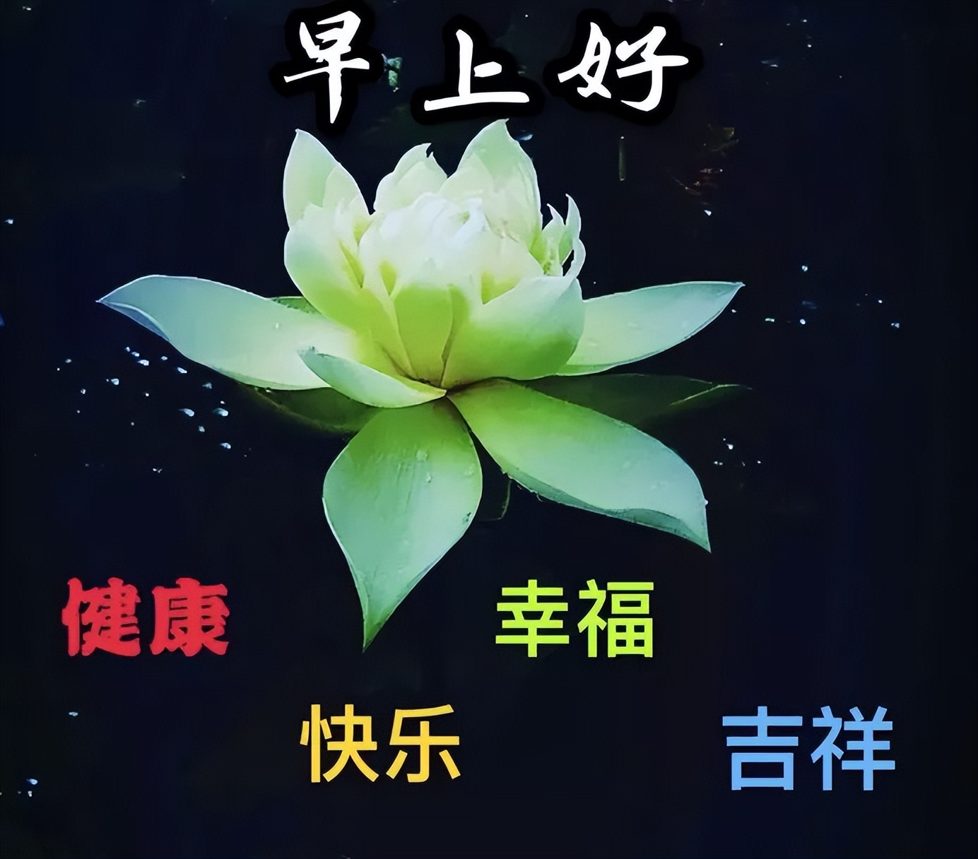 唯美温馨的早上好动态表情包 幸福满满，快乐每一天图片