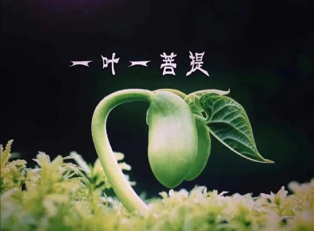 致自己（与你共勉）