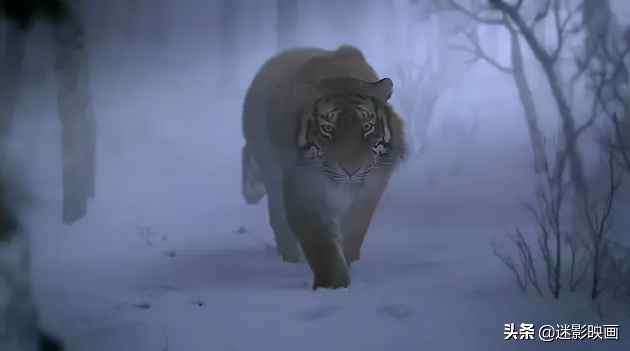 62年前的林海雪原：原计划拍四部，被成龙模仿，徐克翻拍成3D版
