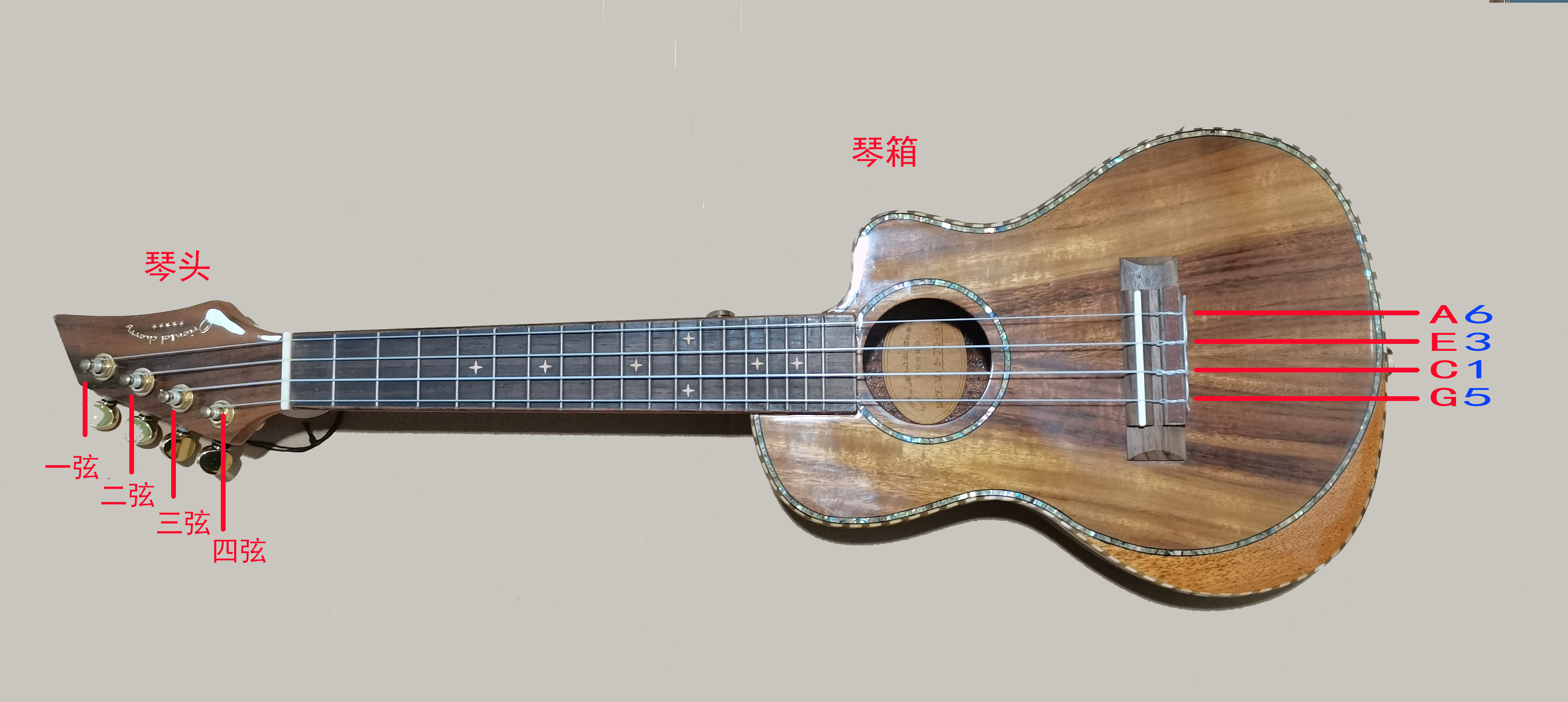 尤克里里弦的顺序说明及简介