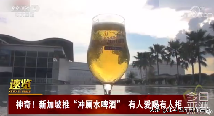 冲厕水酿啤酒？松针变收纳？这些环保创意让人耳目一新