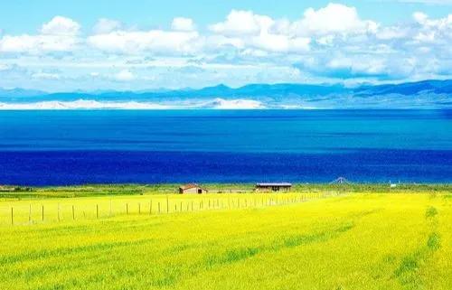 西风浩浩天连海,绿水茫茫海接天——环绕青海湖(八)