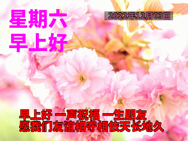 12月3日周六早安 清晨早上好表情包祝福语 祝你幸福永远、笑容灿烂图片