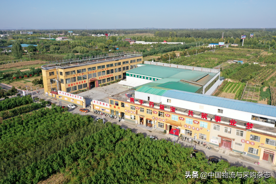 端午节几块钱一把的“小艾草”被他们做成了特色“大产业”