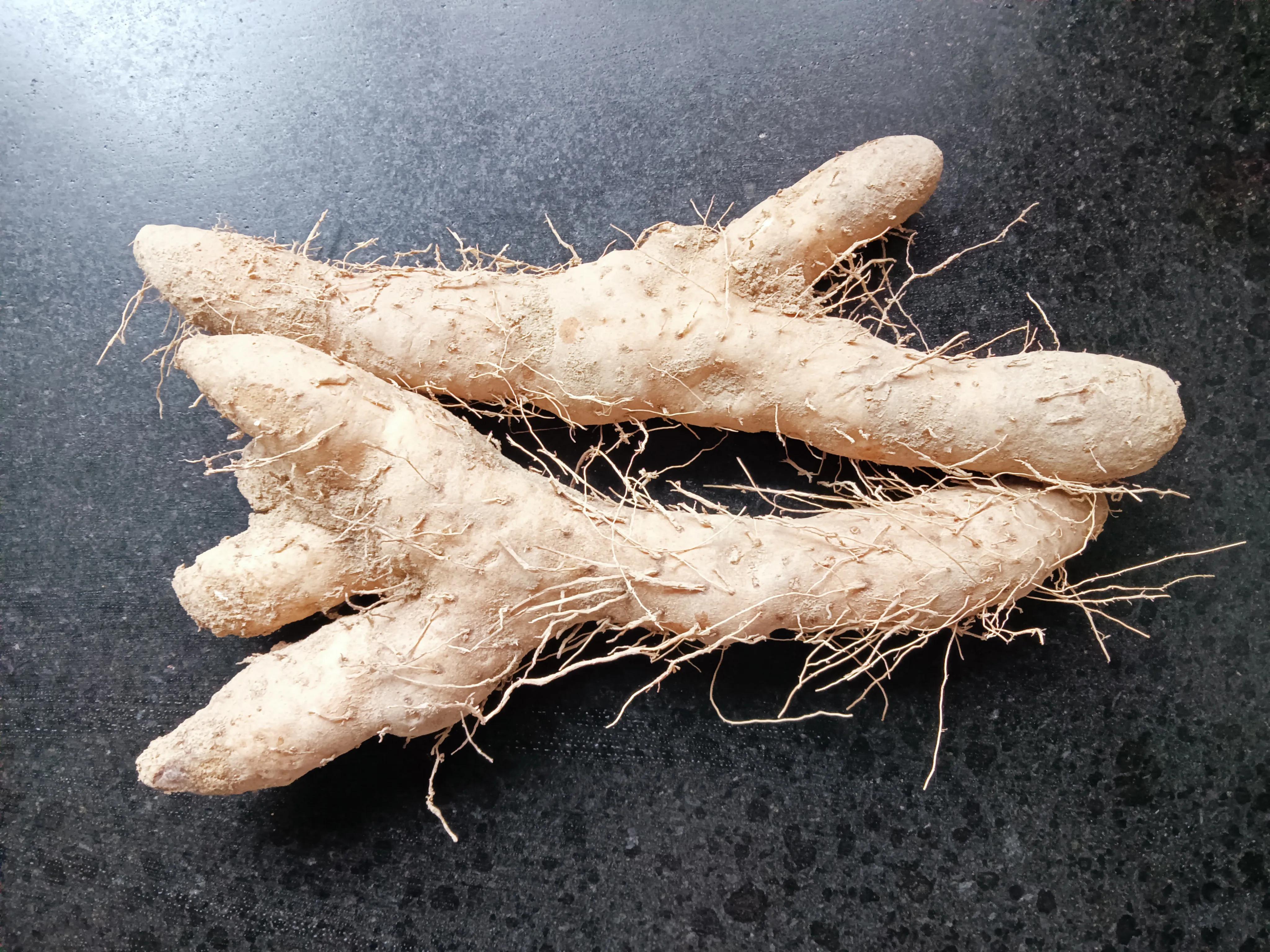 姜薯是山药吗 -生活知识库-动动脑