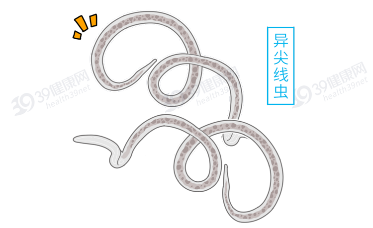 生腌海鲜：冒生命危险也要吃的“潮汕毒药”，到底有多“脏”？