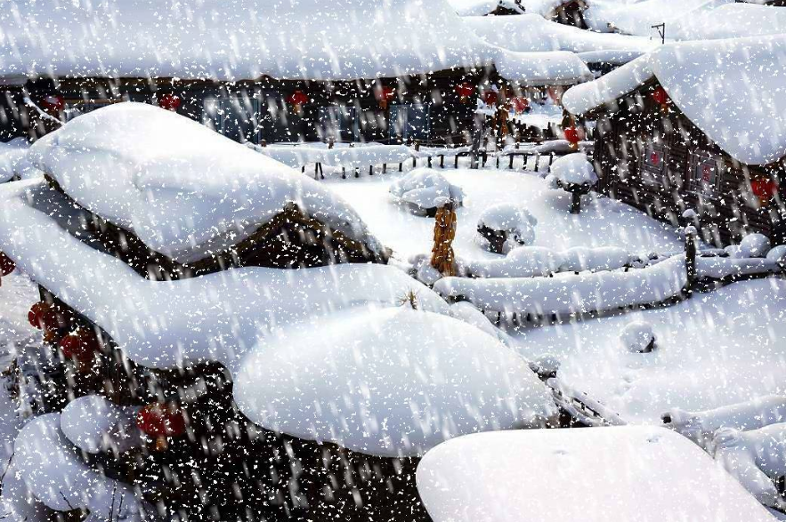 真实下雪照片 唯美图片