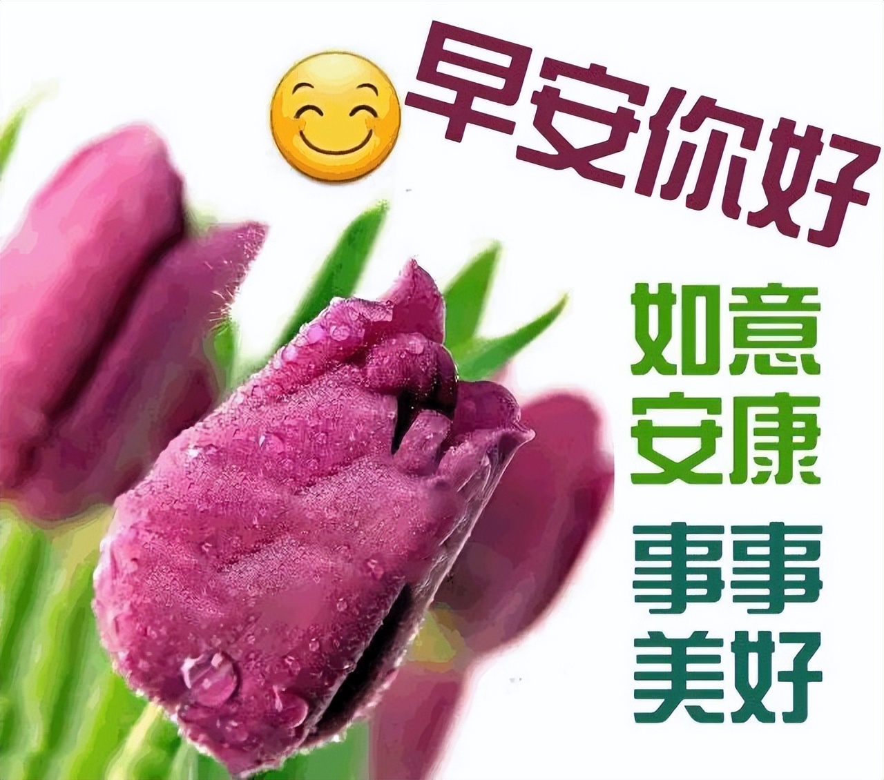 最新早上好祝福语，感恩世界、感恩有你 遥寄一份浓浓的祝福图片