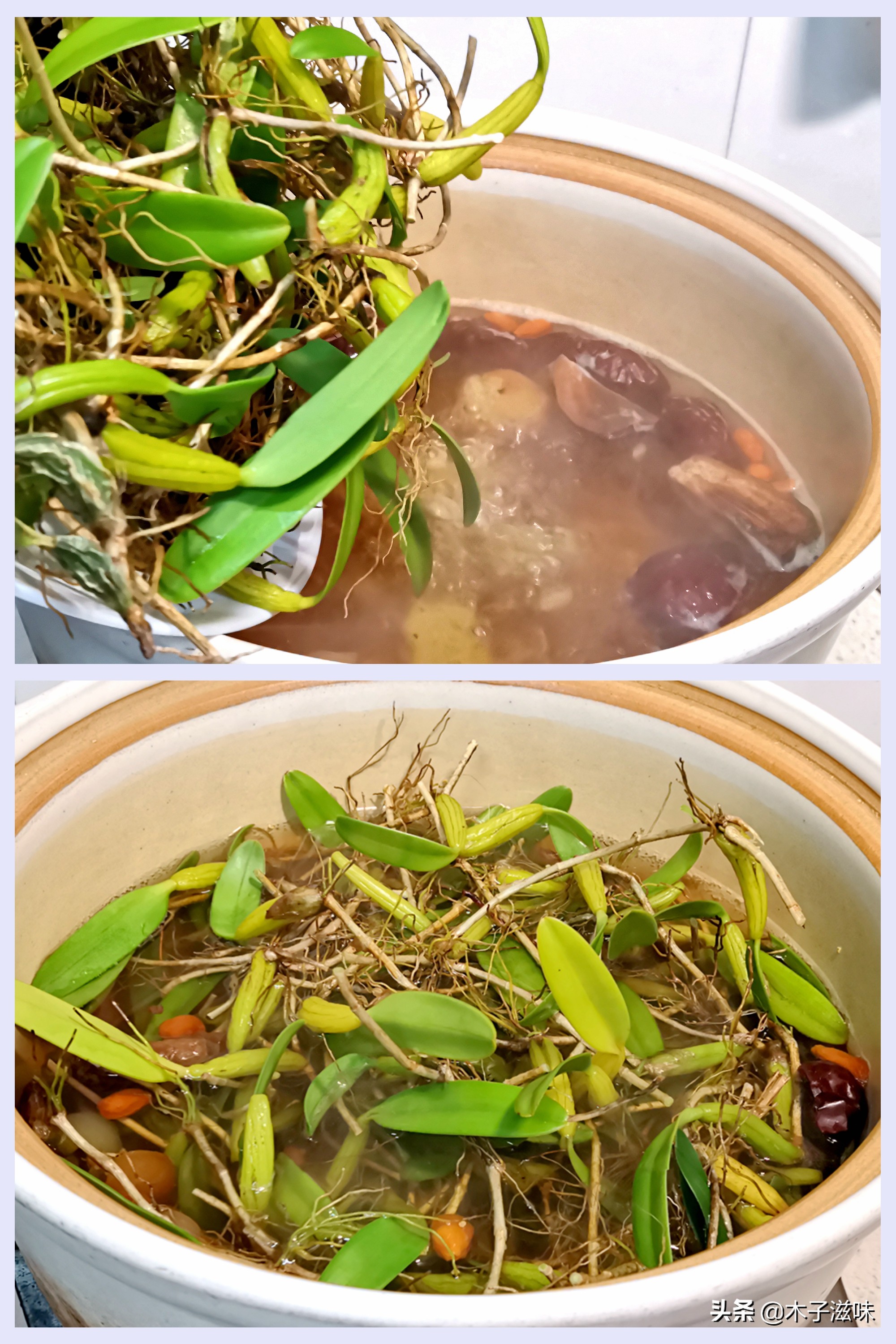 新鲜石橄榄怎么煲汤(轻松做出鲜美清热润肺的石橄榄鸡汤)