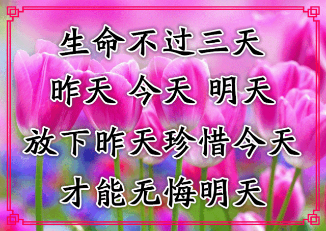 周三清晨早安心语问候语 清晨鲜花祝福动态图片 放下昨天珍惜今天图片